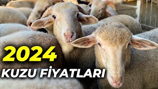 2024 KURBANLIK KUZU FİYATLARI | TÜRKİYE'nin EN UCUZ HAYVAN PAZARI