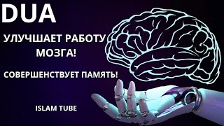 Прекрасное Дуа. Улучшает Работу Мозга. Укрепляет Память!💯٪