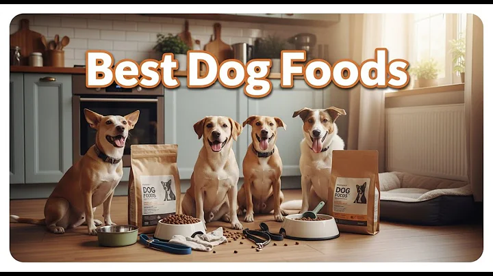 TOP 5 Best Dog Foods 2025 | This Dog Food Changed My Pet’s Life