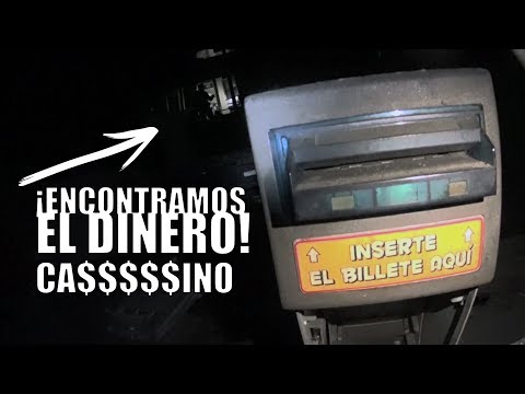 Bufalo Chihuahua "Casino "