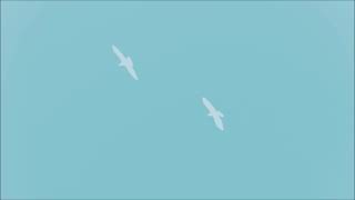 happiness does not wait - ólafur arnalds