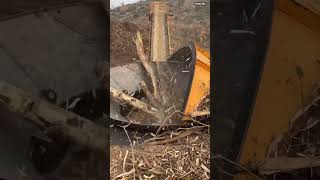Wood Crushing Machine in Action: Fast and Powerful Processing 🪵⚙️#shorts