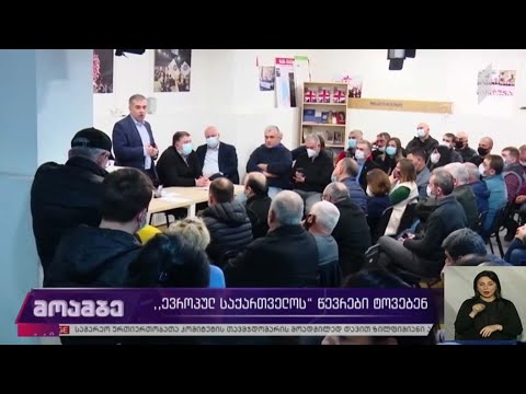 „ევროპულ საქართველოს“ წევრები ტოვებენ