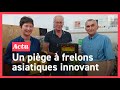 Cet apiculteur invente un pige  frelons asiatiques unique qui ne capture pas les autres insectes