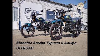 :      Offroad