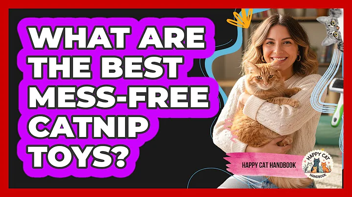 What Are The Best Mess-free Catnip Toys? - Happy Cat Handbook