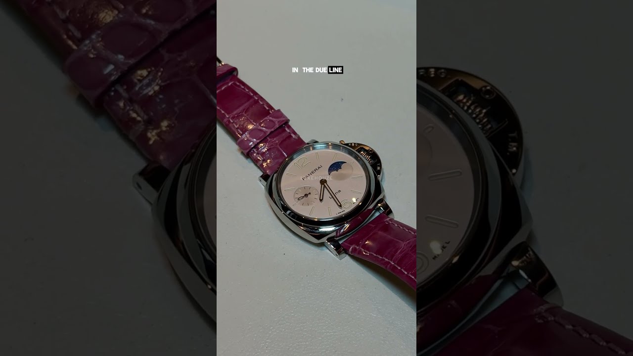 Have You Seen This Cutesy Panerai Watch Before 