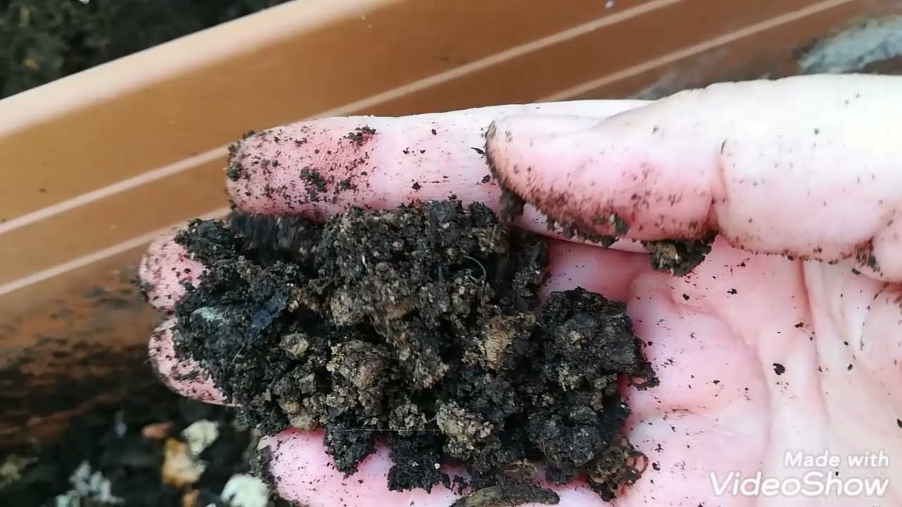 SAKSI ALTİNA KOMPOST HAZIRLAMA 🌱🌵 SUKULENT KAKTUS TOPRAĞI HAZIRLAMA