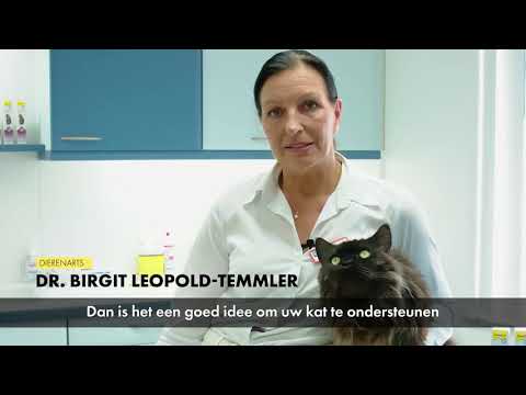 Video: Hemobalance: Multivitaminecomplex Voor Katten, Wijze Van Toediening En Dosering, Contra-indicaties, Beoordelingen, Kosten En Analogen