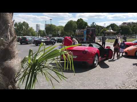 Exotic car rental
