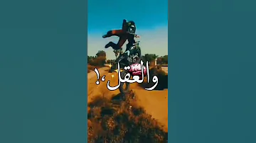 قلبي ساب والعقل باظ وخاب حالات واتس اب مهرجانات شاشه سوده عصام صاصا 2022 