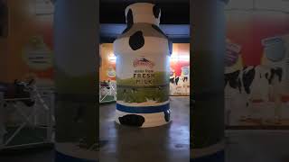 Milk Museum Cimory Dairyland Prigen