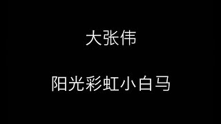 Video thumbnail of "大张伟 [阳光彩虹小白马] 歌词"