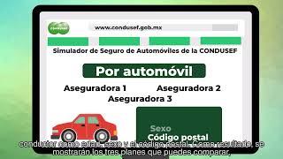Simulador De Ses De Automóvil De La Condusef
