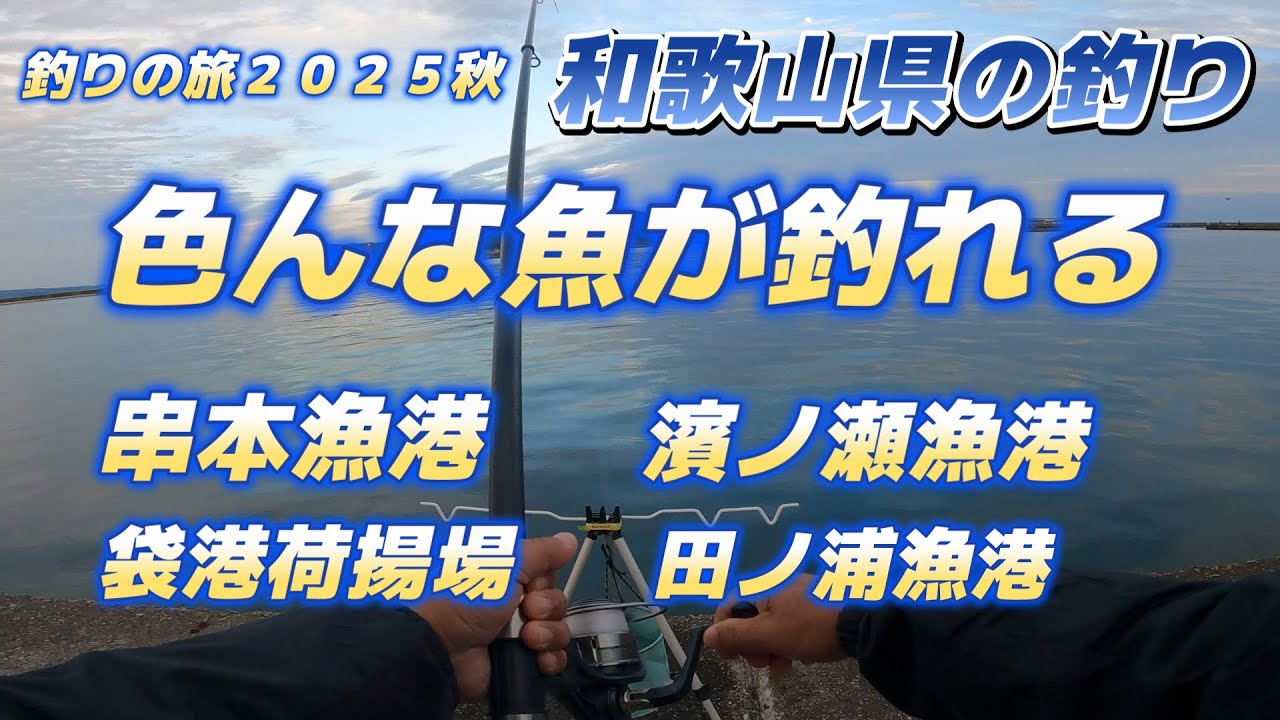 和歌山県の釣り「色んな魚が釣れる」串本漁港・袋港荷揚場・濱ノ瀬漁港・田ノ浦漁港「キャンピングカー車中泊で北海道～沖縄日本全国釣りの旅」