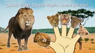 Animals 30 Min Collections Finger Family Nursery Rhymes