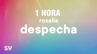 [1 HORA] ROSALÍA - DESPECHÁ (Letra/Lyrics)
