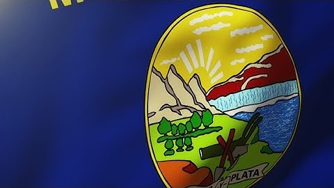 4K montana flag waving in the wind. Looping sun rises style. Animation loop Stock video