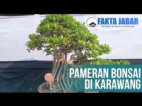 Video: Pameran Dalam Kerawang