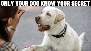 13 Secrets Your Dog Knows About You.