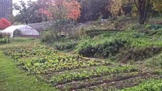 Growing Food at Yale University in New Haven Connecticut