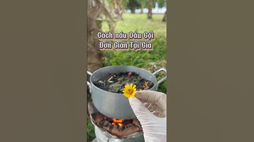 Cách nấu dầu gội thảo dược đơn giản tại nhà..!!!