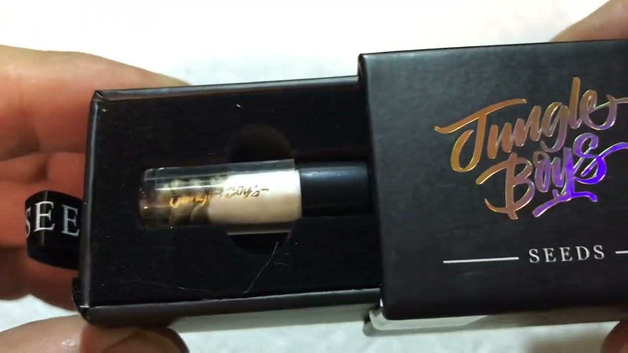 Florida Oranges - Jungle Boys Unboxing.