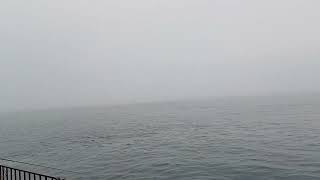 Foggy Victoria Harbour in Hong Kong and can't even see the HK Island from Kowloon side at pier