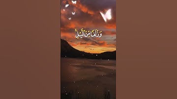إن الحسنات يذهبن السيئات - آيات من سورة هود - القارئ ياسر الدوسري