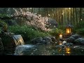 Meditation & Sleep PAN: ✨ “Calming Piano Music for Relaxation, Meditation, Studying & Deep Sleep” ✨