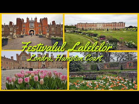 Video: Ghid pentru vizitatori la Palatul Hampton Court din Londra