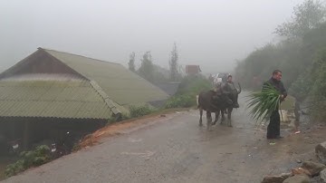 Không khí lạnh tăng cường, Bắc Bộ mưa rét, có nơi rét đậm