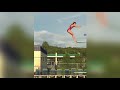 Diving Board Fails Compilation Part 4