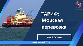 Как расшифровать расходы на  морскую перевозку: тариф линии,  фрахт