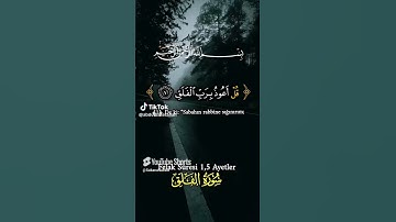 مجموعة سور القرآن الكريم #المصحف #الرحمن #لايك #راحة_نفسية #اكسبلور #القران_الكريم #القران_الكريم