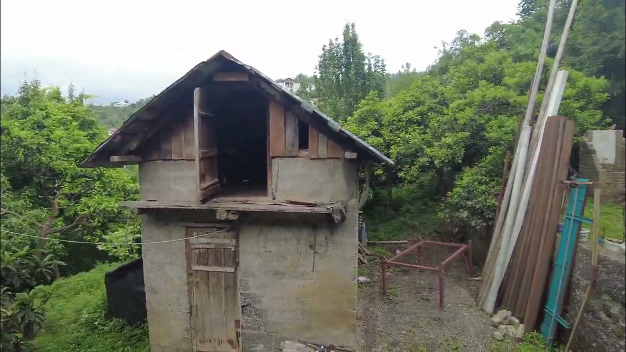 Ботанический сад Батуми в дождь