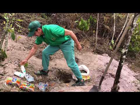 Vídeo: Como Cultivar Sal