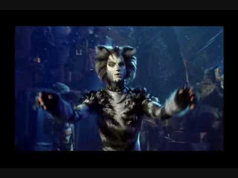10-cats---the-awful-battle-of-the-peekes-and-the-pollicles