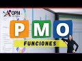 ¿Qué es una 🅿🅼🅾? ¿Cuál es la Función de una PMO? Oficina de Gestión de Proyectos |Project Management