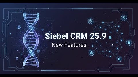 Siebel CRM 25.9 Update Summary - Staying Alive
