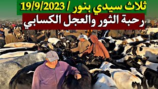 ثلاث سيدي بنور  19/9/2023| خيرات كثيرة داخلة مشاء الله رحبة الثور الكزاري ورحبة العجل الكسابي