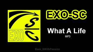 EXO-SC 세훈&찬열 'What a life'.MP3 [AUDIO]