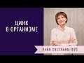 Цинк в организме | Рекомендации диетолога Светланы Фус