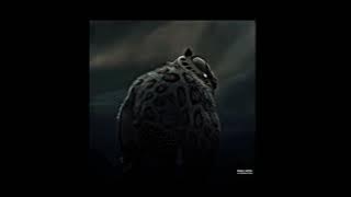 Little Dark Age x My Ordinary Life x After Dark x Got no Time (Slowed   Reverb)