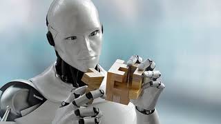 What is python in marathi