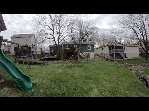 Tree Removal - 4.2.22