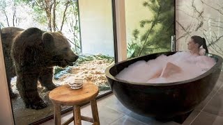 Sleeping with Lions, Tigers and Bears at Jamala Wildlife Lodge, Canberra, Australia, 5 stars hotel