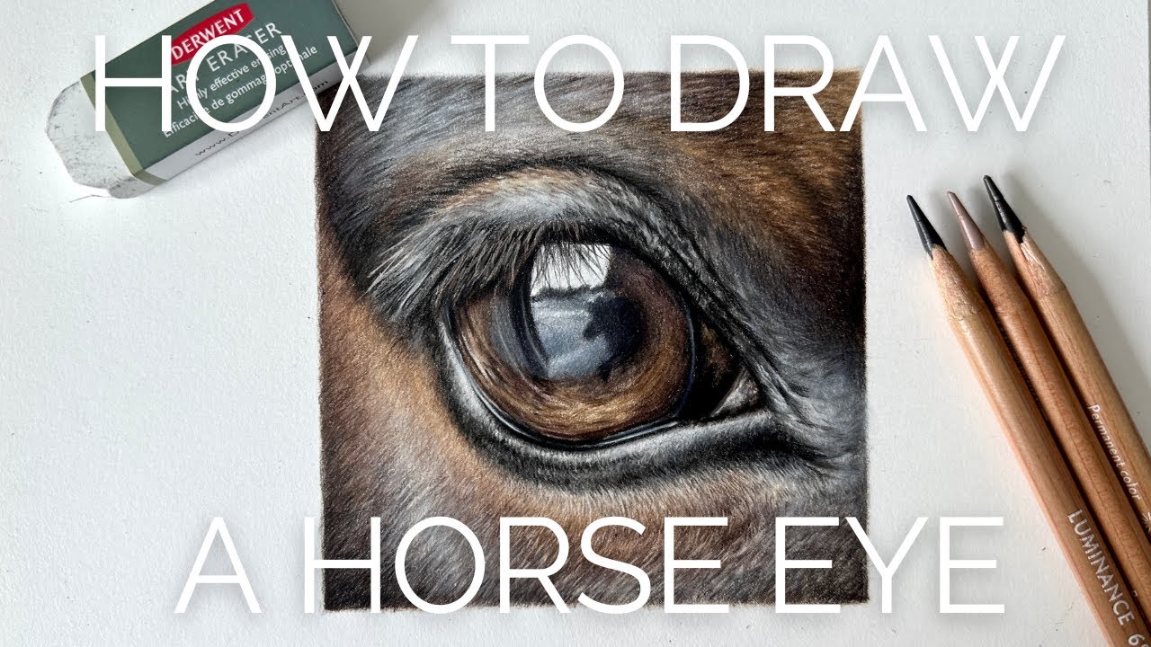 How to draw a realistic horse eye | Coloured pencil Tutorial - Part 2/2 ...