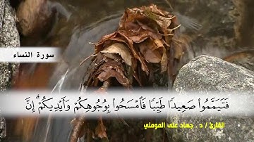 سورة النساء من ( ايه 36 ) الى (ايه 57 ) بصوت القارئ د.جهاد المومني
