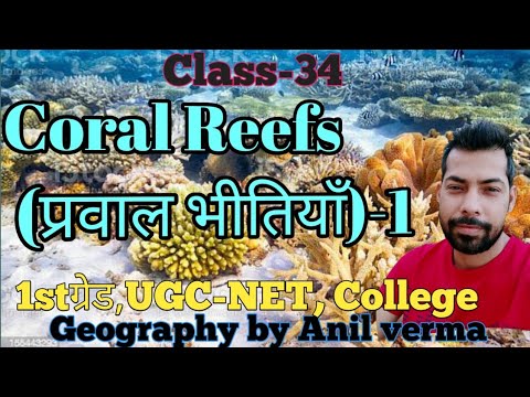 coral reefs (प्रवाल भीतियाँ)